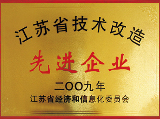 江苏省技术改造先进企业