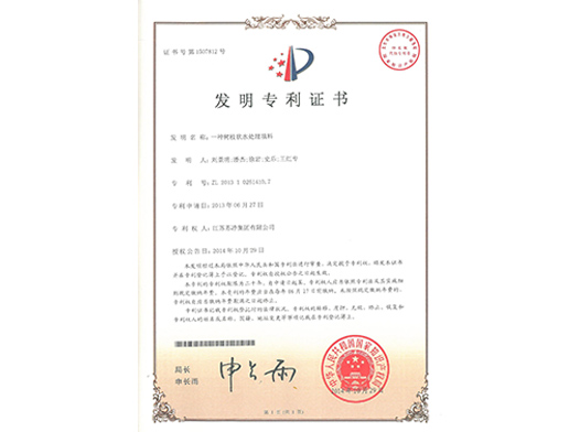 一种树枝状水处理填料（发明）